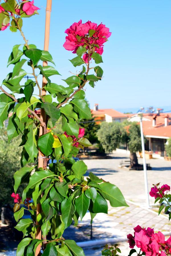 Blue North Luxury Apartment Limenas  Dış mekan fotoğraf